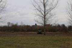 Mini IMG 4916